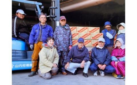 N-119 山内農園のブラッドオレンジ　５ｋｇ