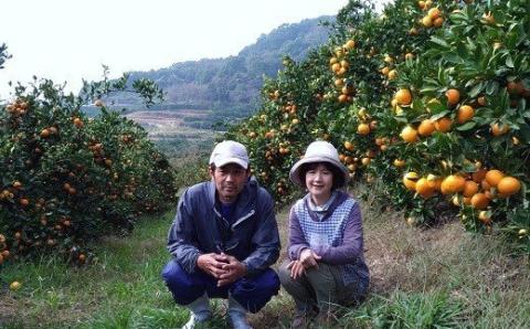 おひさまおれんじ7kg おひさまおれんじ 7kg 希少 温州みかん 早生 温州 みかん ミカン 蜜柑 温州蜜柑 温州ミカン フルーツ くだもの 果物 ミネラル豊富 太良町 国産 人気 おすすめ 早津みかん園 ギフト 盛田温州 濃厚 ジューシー 甘い