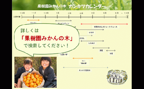 Q-45「果樹園みかんの木」のお楽しみ３回定期便コース