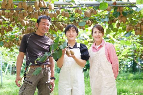 Q-44 体が喜ぶ☆キウイフルーツ定期便３回コース