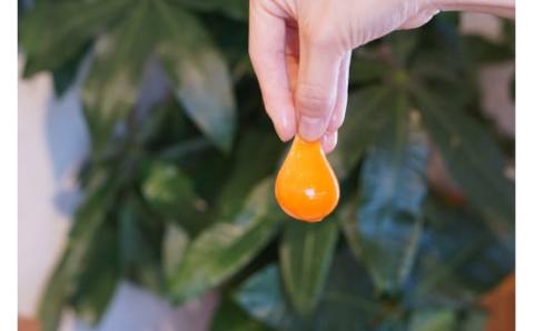 N-233 たまご家のこだわり卵かけごはんセット（卵3種＆卵かけごはん専用醤油）