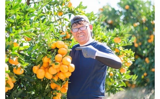 愛情たっぷりたらみかん 5kg 温州 みかん ミカン 蜜柑 温州蜜柑 温州ミカン フルーツ くだもの 果物 ミネラル豊富 太良町 国産 贈答用 お中元 お歳暮