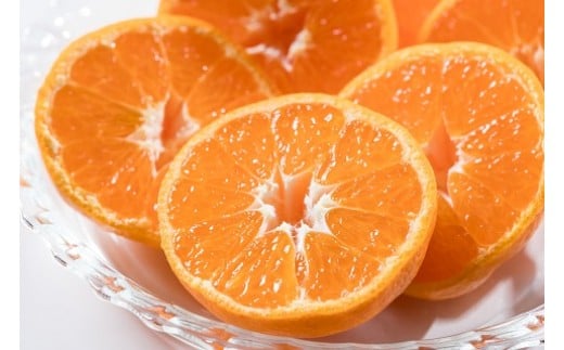 辰見農園の完熟みかん　５ｋｇ　みかん ミカン 蜜柑 温州みかん 完熟みかん 甘熟 柑橘 有機栽培 国産 こだわり ノーワックス 贈答品 産地直送 詰め合わせ 佐賀県産 太良町