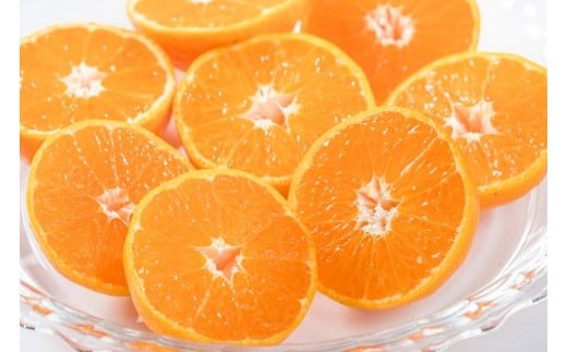 辰見農園の完熟みかん（小玉）５ｋｇ