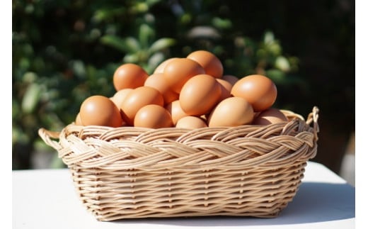 たまご専門店☆たまご家のカステラ「かすて卵」と「かすてらラスク」詰め合わせ スイーツ おやつ 人気 セット たまご 卵 玉子 お菓子 佐賀県 太良町