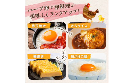 MA-2 たまご家のハーブ卵（笑顔）30個