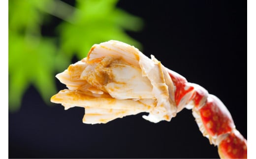 N-161 有明海からの贈り物