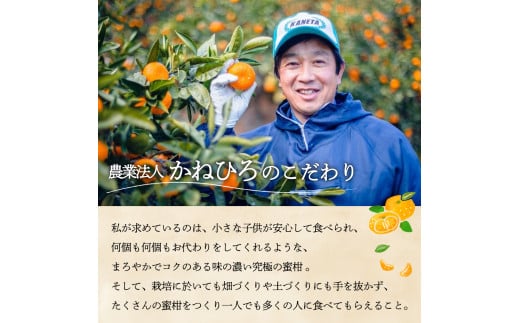 かねひろの黒酢みかん【2023年 第1位ふるさとチョイス みかん 部門】10.3kg 2S～2L 新鮮 黒酢 アミノ酸 みかん 蜜柑 ミカン 温州みかん 10kg 甘い 柑橘 果実 フルーツ オレンジ 人気 おすすめ 贈答 ギフト 正月 実家 産地 九州 佐賀県 太良町