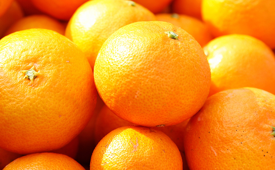 クレメンティン 5kg 【栽培期間中 減農薬】 クレメンティン ミカン みかん 柑橘 柑橘系 柑橘類 果物 くだもの フルーツ 国産 佐賀県 太良町 O26x1