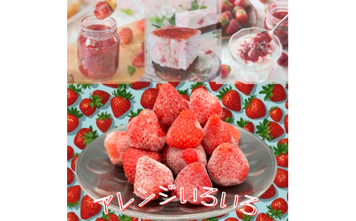 訳あり！太良町産「ゆめのか」冷凍いちご500ｇ×６袋 佐賀県 太良町