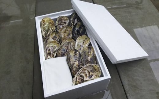 海男の殻付き牡蠣　２０個