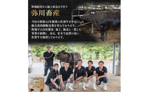 T-13 佐賀牛ステーキ三昧　お楽しみ６回コース