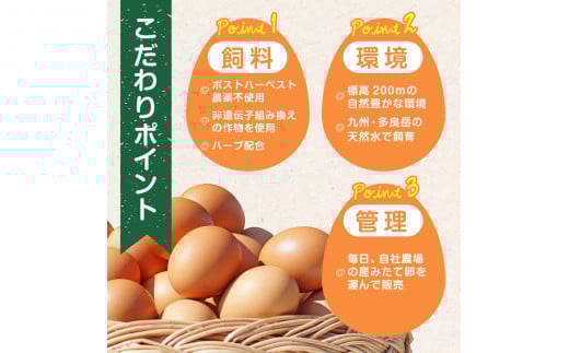 T-26 【12ヶ月定期便】たまご家のハーブ卵（笑顔）30個