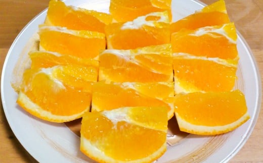 早津みかん園のスイートスプリング 3kg 【2026年2月上旬～3月上旬迄順次発送予定】 スイートスプリング みかん ミカン 柑橘 柑橘系 柑橘類 くだもの 果物 フルーツ 国産 佐賀県産 太良町産 佐賀県 太良町 常温