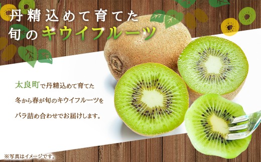 【体が喜ぶ】キウイフルーツ 30～35個（約3.8kg） バラ詰め合わせ スタンドパック 6袋付き 【2026年4月下旬まで順次発送予定】　キウイ フルーツ くだもの 果物 常温