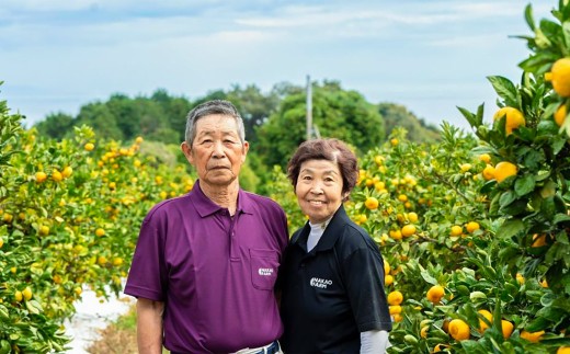 中尾農園の夢みるみかんじゃばらストレート果汁 150ml×5本セット