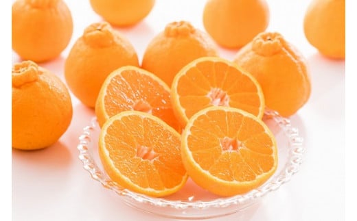 辰見農園の春待ち「しらぬひ」小玉 5kg 【2026年2月下旬～4月下旬発送予定】 L92x1