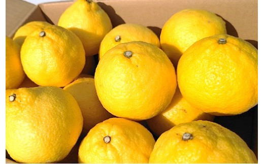 ぜひご賞味ください！