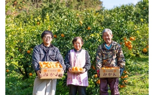 辰見農園の完熟みかん　５ｋｇ　みかん ミカン 蜜柑 温州みかん 完熟みかん 甘熟 柑橘 有機栽培 国産 こだわり ノーワックス 贈答品 産地直送 詰め合わせ 佐賀県産 太良町