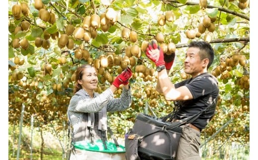 LB-12 体が喜ぶ☆キウイフルーツ