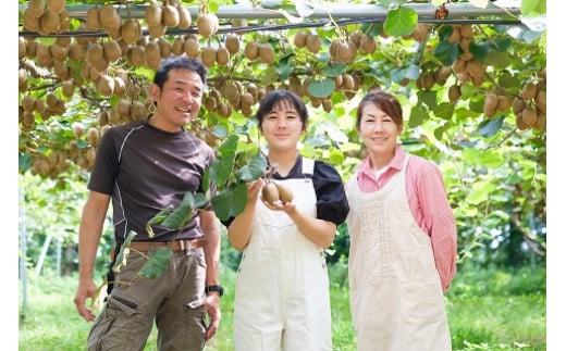 LB-13 栄養満点！東京ゴールド（キウイフルーツ）