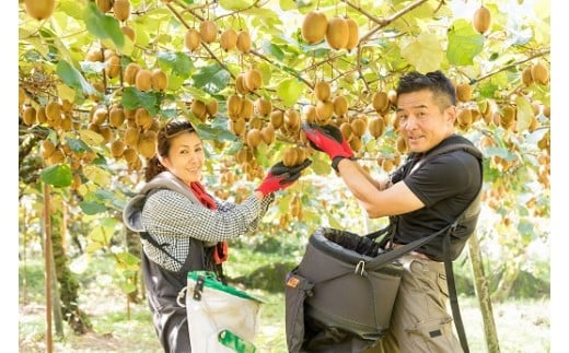 N-58 体が喜ぶ☆大玉・中玉キウイフルーツ