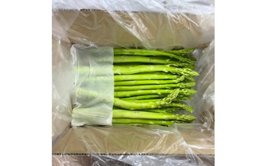 味はそのまま訳あり 森のアスパラ 800g (料理王国100選入賞 2021) アスパラ アスパラガス 規格外品 訳あり 佐賀県 太良町