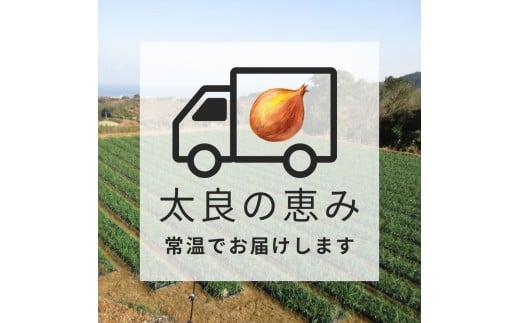 太良町産たまねぎ100%使用オニオンドレッシング 200ml×3本 ドレッシング 調味料 サラダドレッシング 野菜ドレッシング 野菜ソース 玉ねぎドレッシング オニオンドレッシング 玉ねぎ オニオン サラダ 佐賀県 太良町