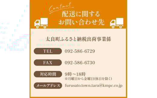 M-97 BAUM KUCHEN 雅のチーズとプリンのタルトセット