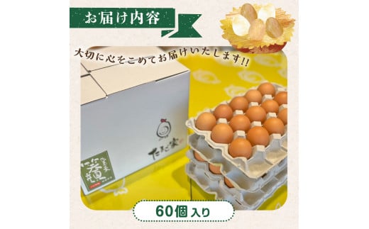ND-3 たまご家のハーブ卵（笑顔）60個