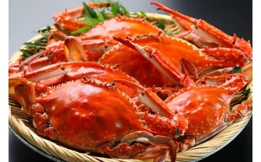 R-40 たら竹崎温泉　夜灯見荘　利用券（15,000円相当分）