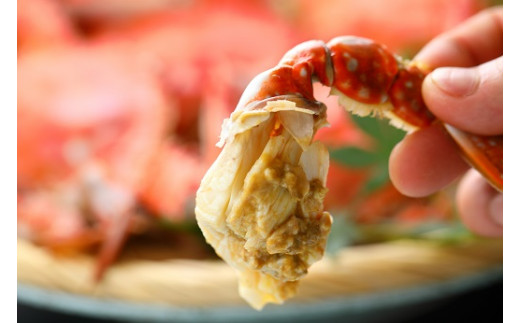 T-14 たら竹崎温泉　夜灯見荘　利用券（30,000円相当分）