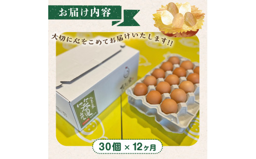 T-26 【12ヶ月定期便】たまご家のハーブ卵（笑顔）30個