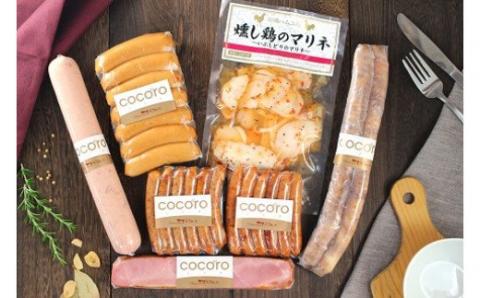 N-195 N30H 太良町月の引力セット