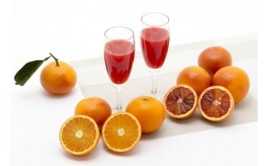 N-119 山内農園のブラッドオレンジ　５ｋｇ