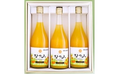 N-158 潮風の贈り物（南津海ジュース）３本セット