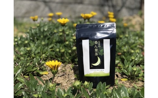 太良の桑ん葉茶 1セット 50g(2g×25包) ティーパック ビタミン ミネラル 食物繊維 お茶 茶 飲料 国産茶 桑の葉茶 佐賀県 太良町