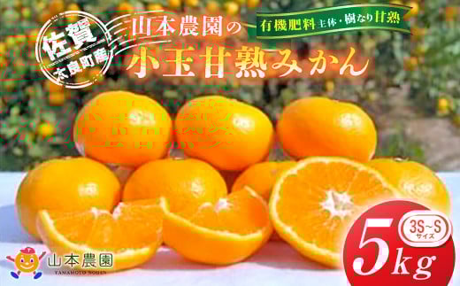 山本農園の小玉甘熟みかん 5kg　みかん ミカン 蜜柑 日南 上野 太幸 佐世保早生 石地 温州みかん 完熟みかん 甘熟みかん 国産 佐賀県産 太良町 こだわり 産地直送 詰め合わせ 小玉 有機肥料 期間限定