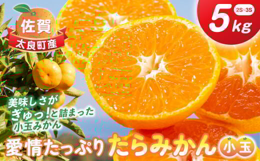 愛情たっぷりたらみかん（小玉）5kg　みかん ミカン 蜜柑 たらみかん 太良みかん 温州みかん 完熟みかん 甘熟 柑橘 国産 佐賀県産 太良町 こだわり 有機栽培 産地直送 贈答品 詰め合わせ 極甘 小玉
