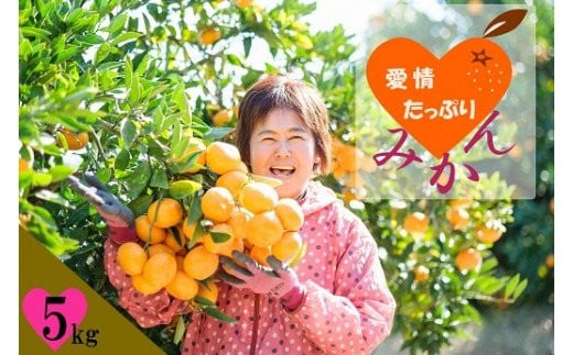 愛情たっぷりたらみかん 5kg 温州 みかん ミカン 蜜柑 温州蜜柑 温州ミカン フルーツ くだもの 果物 ミネラル豊富 太良町 国産 贈答用 お中元 お歳暮