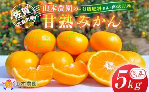山本農園の甘熟みかん5kg　みかん ミカン 蜜柑 温州みかん 完熟みかん 甘熟 柑橘 有機栽培 国産 佐賀県産 太良町 こだわり 贈答品 産地直送 詰め合わせ