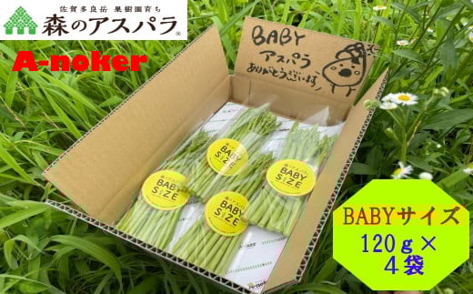 BABYサイズ 森のアスパラ 120g×4袋 朝採れ 根元部分カット済 冷蔵 すぐに食べられる アスパラガス アスパラ 佐賀県 太良町