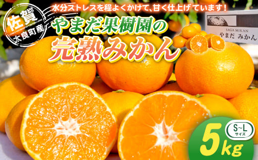 やまだ果樹園の完熟みかん　５ｋｇ　みかん ミカン 蜜柑 柑橘 たらみかん 太良みかん 温州みかん 完熟みかん 国産 佐賀県産 太良町 こだわり 産地直送 贈答品 詰め合わせ セット 小玉 大玉 甘熟 極甘