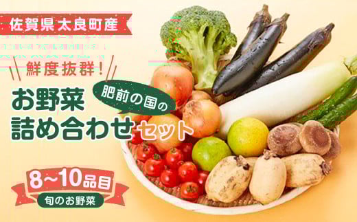 L-37 鮮度抜群！肥前の国のお野菜詰め合わせセット（8～10品目）