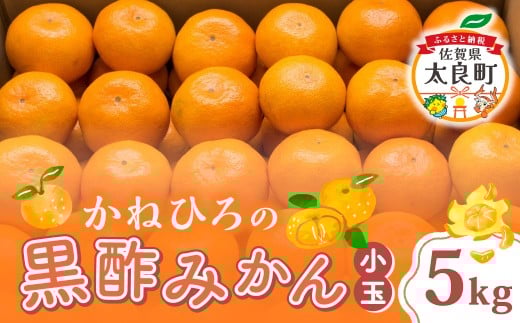 かねひろの黒酢みかん（小玉）5kg