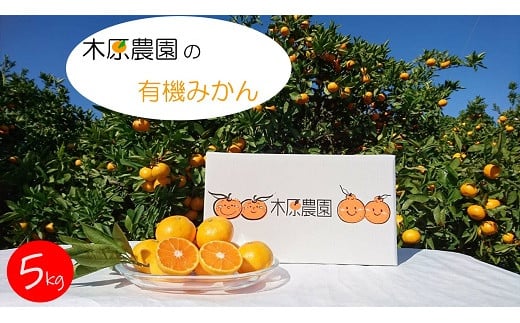 木原農園の有機みかん（S-Lサイズ）5kg 【2025年12月下旬まで順次発送予定】