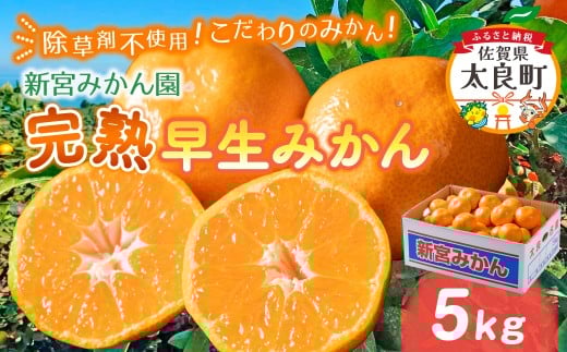 新宮みかん園 完熟早生みかん（S～L）５kg