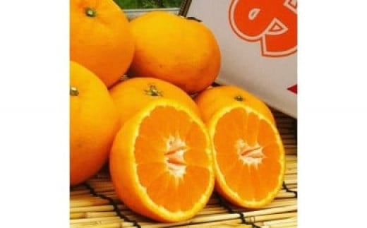 山本農園のはれひめ ３kg 希少 はれひめ ミカン 蜜柑 みかん オレンジ おれんじ フルーツ くだもの 果物 太良町 国産 贈答 贈答用 贈答品