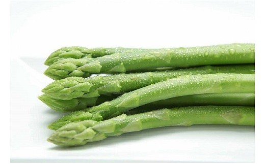 採れたて直送！ 「森のアスパラ」 800g グリーンアスパラガス (S～Mサイズ) 冷蔵 朝収穫 アスパラガス アスパラ 佐賀県 太良町