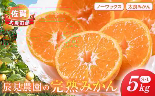 辰見農園の完熟みかん　５ｋｇ　みかん ミカン 蜜柑 温州みかん 完熟みかん 甘熟 柑橘 有機栽培 国産 こだわり ノーワックス 贈答品 産地直送 詰め合わせ 佐賀県産 太良町